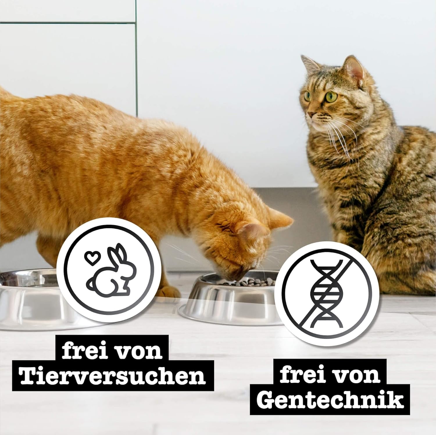 Hrană umedă pentru pisici Catz Finefood Purrrr Sheep Monoprotein nr. 113, pentru pisici cu digestie sensibilă, conținut de carne de 70%, 16 pliculețe a câte 85 g