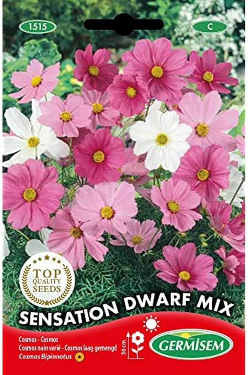 Cesto portagioielli, multicolore, EC1515