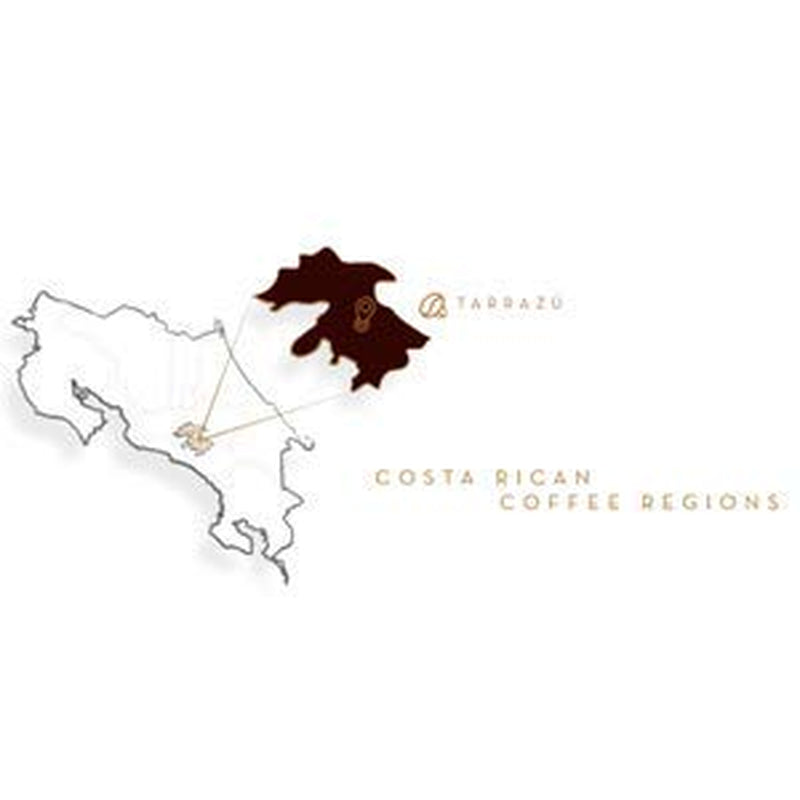 Tarrazu Montecielo cafea cu boabe integrale, pachet 340g