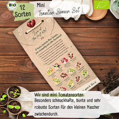 Set di mini semi di pomodoro biologico: 12 varietà di pomodori coltivati ​​liberamente | Semi di pomodoro raro e familiare, ciliegia e bistecca | Sementi di ortaggi per balcone, aiuola rialzata, giardino e regalo | Piante d'amore
