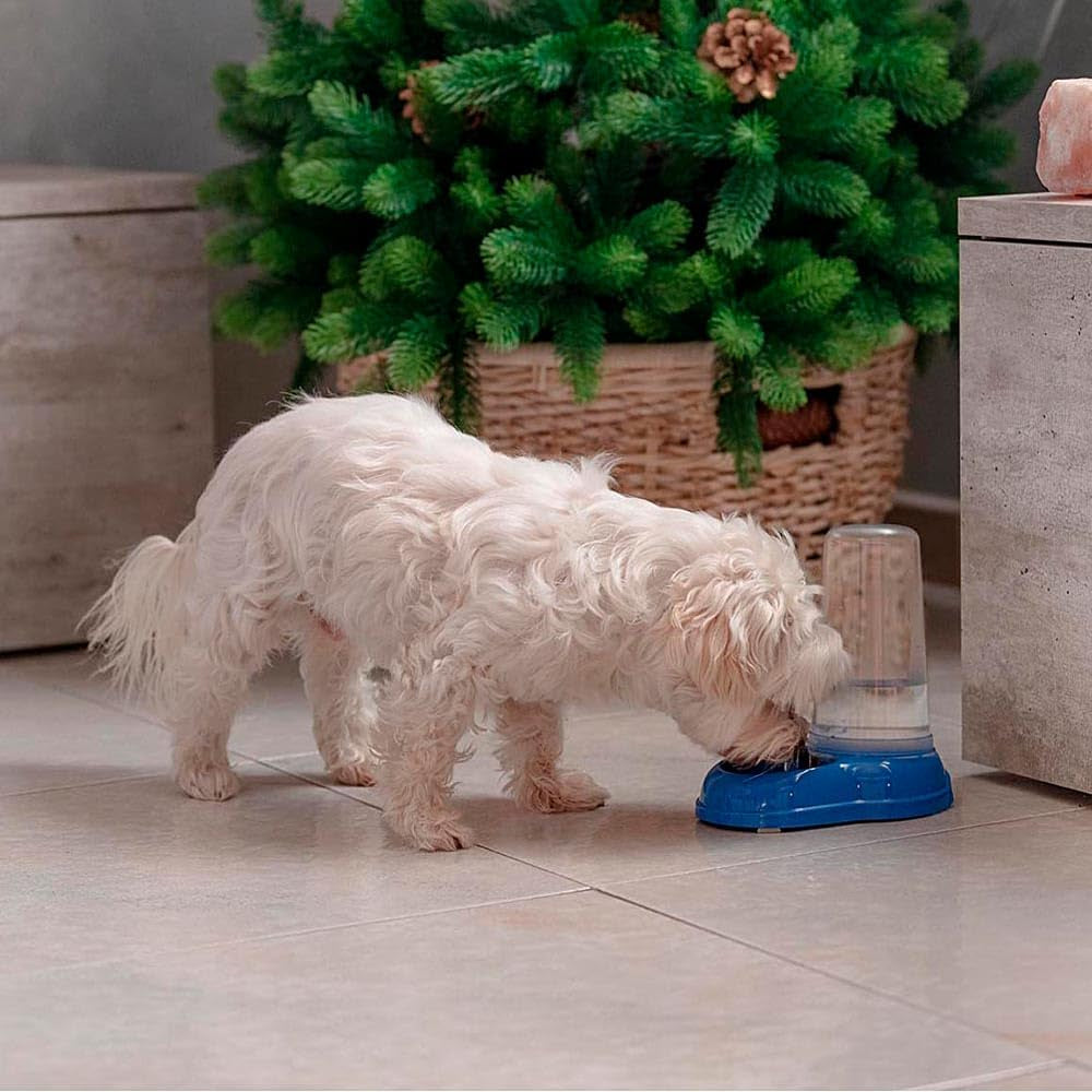 Ferplast Futter- oder Wasserspender für Hunde und Katzen AZIMUT 600 Futtertrog Acqua 0,6 litri, Rutschfester Boden, 12,5 x 19 x H 19,5 cm Blu