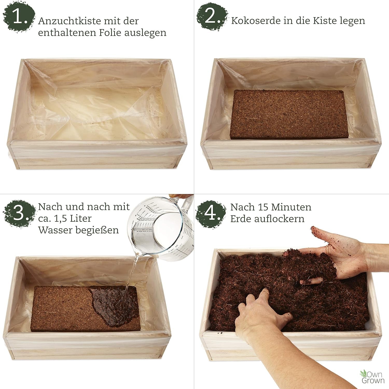 Kit per la coltivazione di semi con scatola di legno e 8 varietà di semi di piante: kit per la coltivazione di semi di verdure, fragole ed erbe aromatiche per bambini - Mini serra e mini giardino Starter Kit di OwnGrown