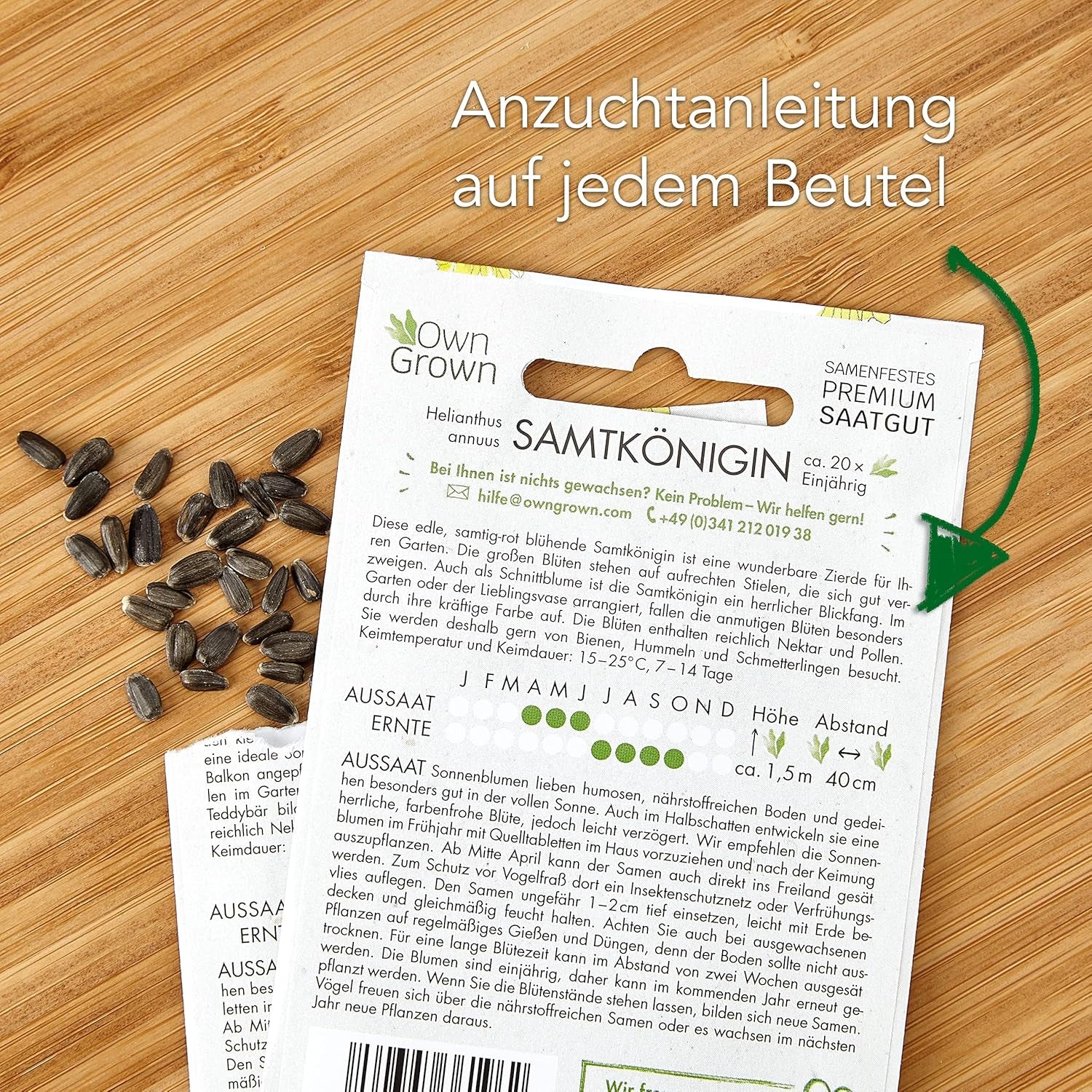 Semi di girasole Discus gialli (Helianthus annuus): semi di girasole premium, semi di girasole per coltivare circa 20 piante di girasole - Semi di fiori adatti agli insetti da OwnGrown