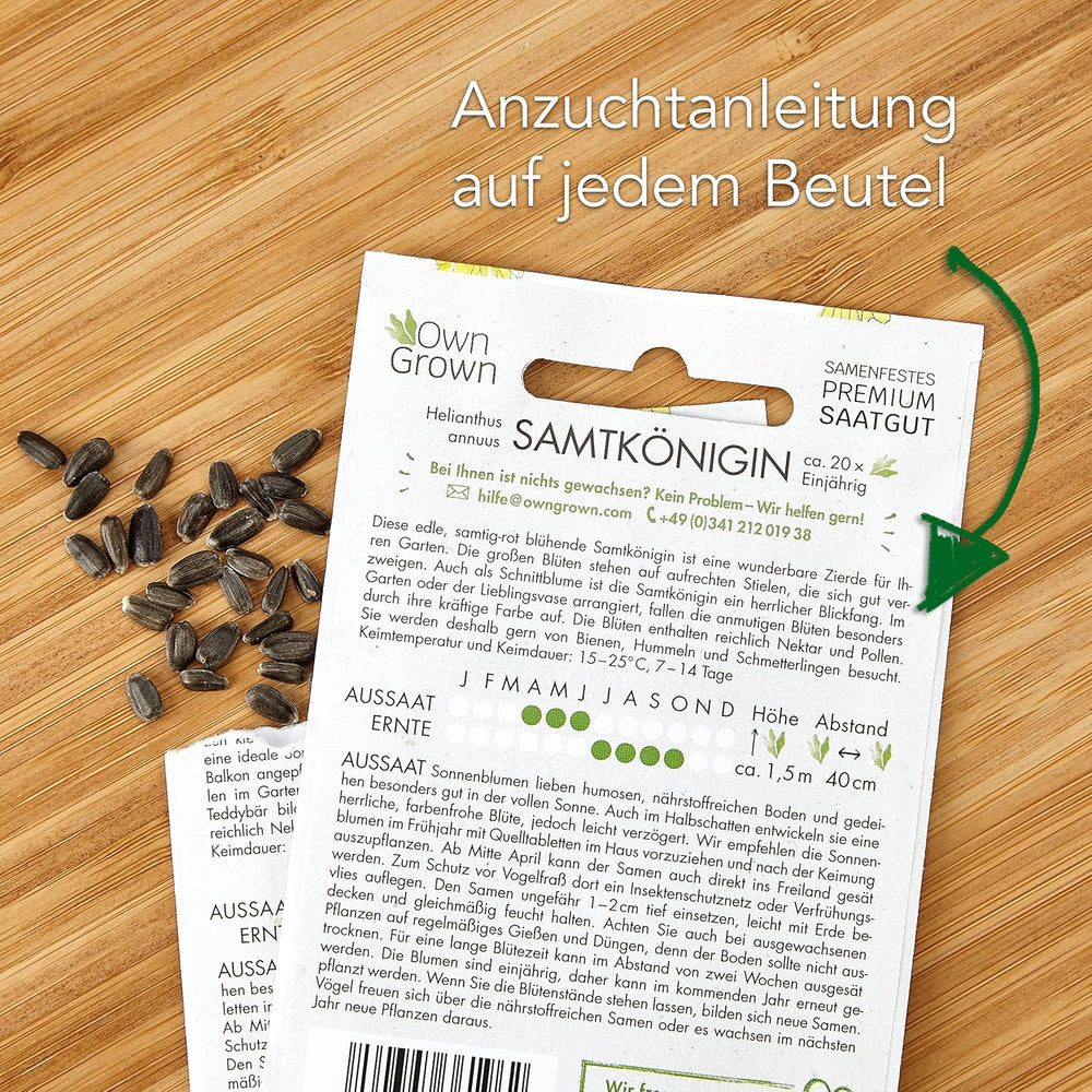 Semi di girasole Discus gialli (Helianthus annuus): semi di girasole premium, semi di girasole per coltivare circa 20 piante di girasole - Semi di fiori adatti agli insetti da OwnGrown