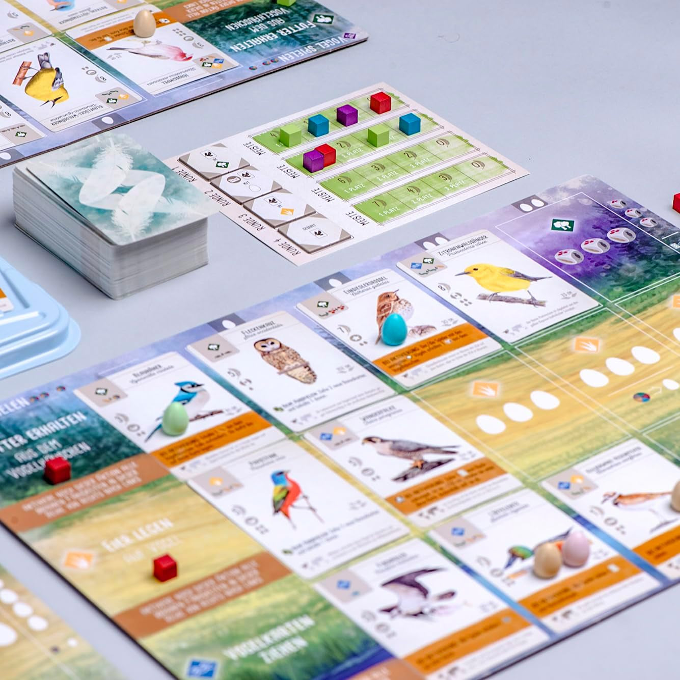 Feuerland Spiele 104-146-901 63558 Gioco da tavolo Wingspan Edizione tedesca - Kennerspiel des Jahres 2019 (Premio della critica)