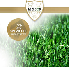 Universalrasen, 1Kg Für 25 M², Rasenmischung, Grassamen Sattgrün, Frühjahr Aussaat