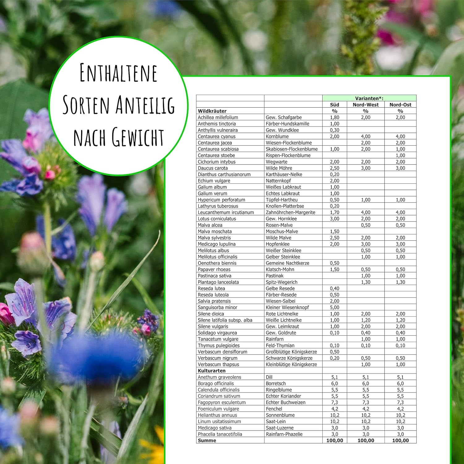 Semi di api - fiori di campo, perenni e resistenti all'inverno, semi - oltre 40 fiori autoctoni ed erbe selvatiche, selezione speciale di specie per la Germania meridionale, 50 g