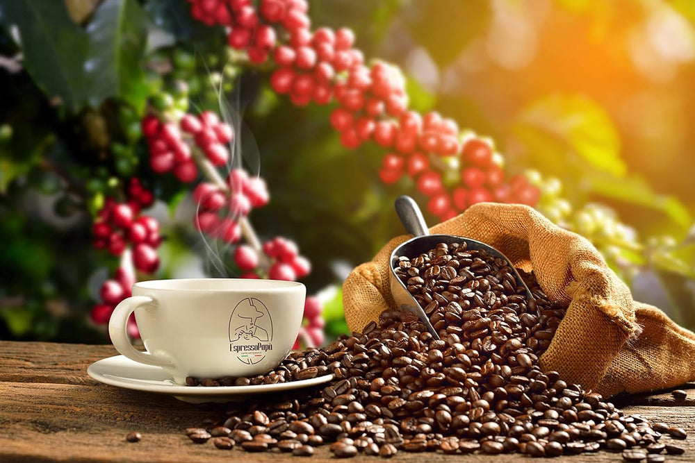 Espresso Napoletano BLACK OF NAPLES - extrem de intens și cremos - aciditate foarte scăzută - boabe întregi 100% Robusta 500g