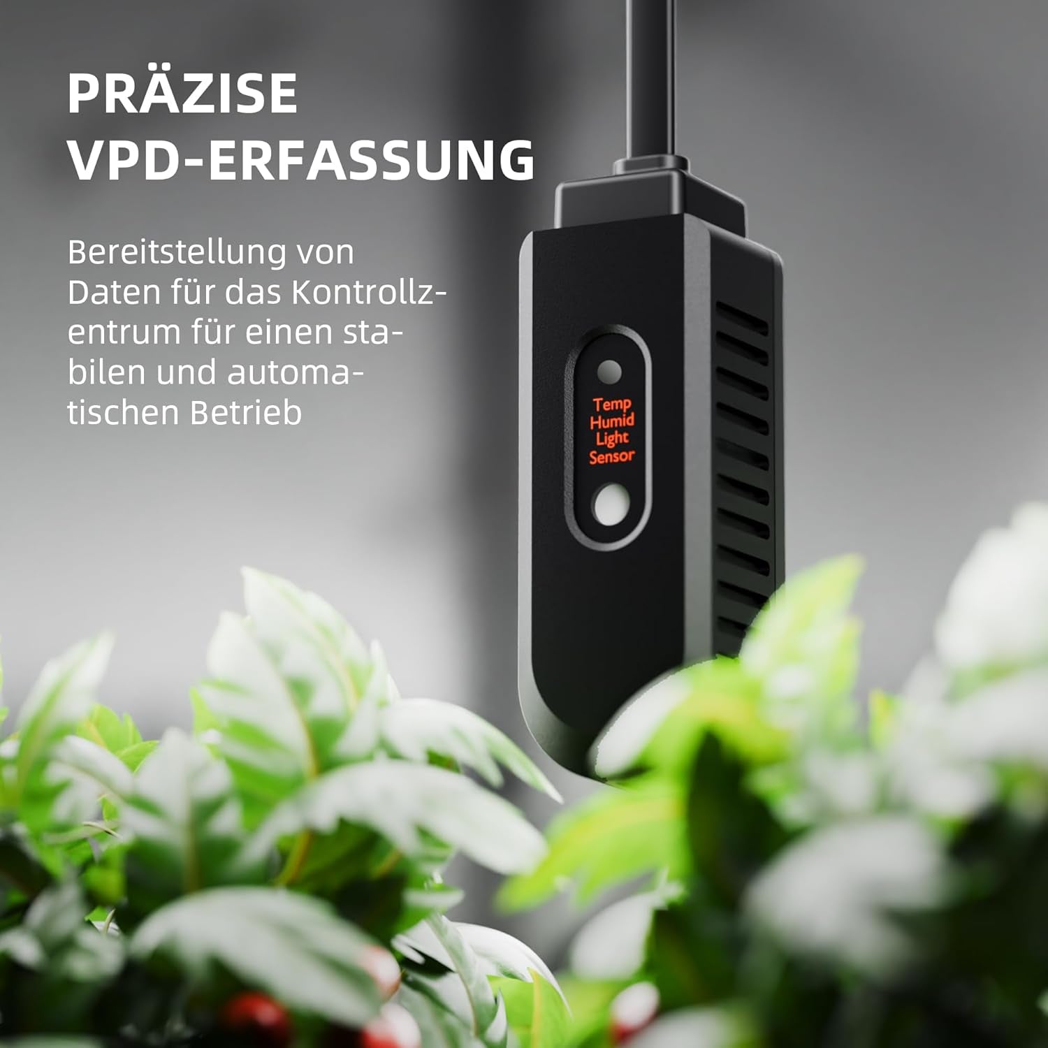 Deumidificatore SPIDER FARMER, Deumidificatore per piante da 12 litri con controllo dell'umidità, controllo tramite app, funzione timer 24 ore per tende da coltivazione, deumidificatore elettrico per giardini interni, appartamenti e scantinati