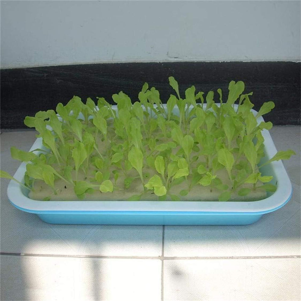 Spugna idroponica, 100 pezzi di spugne idroponiche per la coltivazione di semi, strumento da giardinaggio per piccole piante o piantine