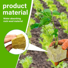 100 pezzi Steinwolle Anzucht Würfel 2.5x2.5x2.5CM Rockwool Cube Anzuchtmatte Steinwolle Anbau Hydrokultur Umpflanzen für Bodenlose Anzucht Setzlinge Stecklinge Klonpflanzen