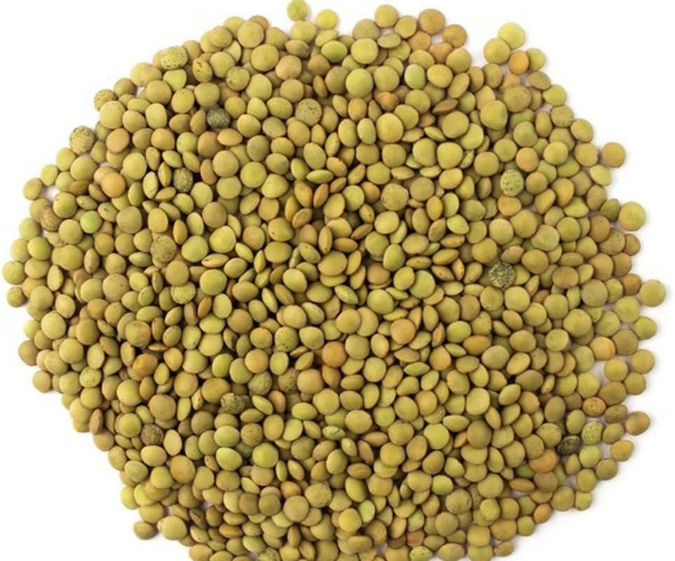 Lenticchie Verdi – Varietà Laird, Confezione da 1 kg | Qualità Premium, Lenticchie Intere | Ricco di proteine ​​e fibre | Vegano, non OGM | Ideale per zuppe, insalate, curry e preparazione dei pasti