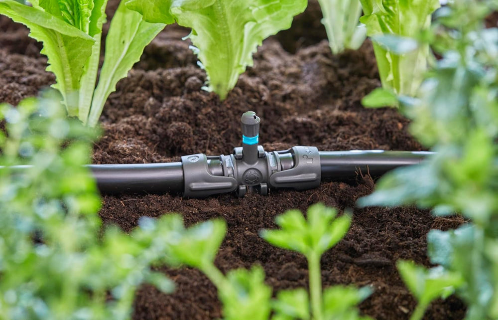Piesă în T Gardena Micro-Drip-System pentru duze de pulverizare: Conectare între țevi de 13 mm și o duză de pulverizare, udare automată a plantelor, tehnologie de conectare rapidă și ușoară, reutilizabilă (13206-20)
