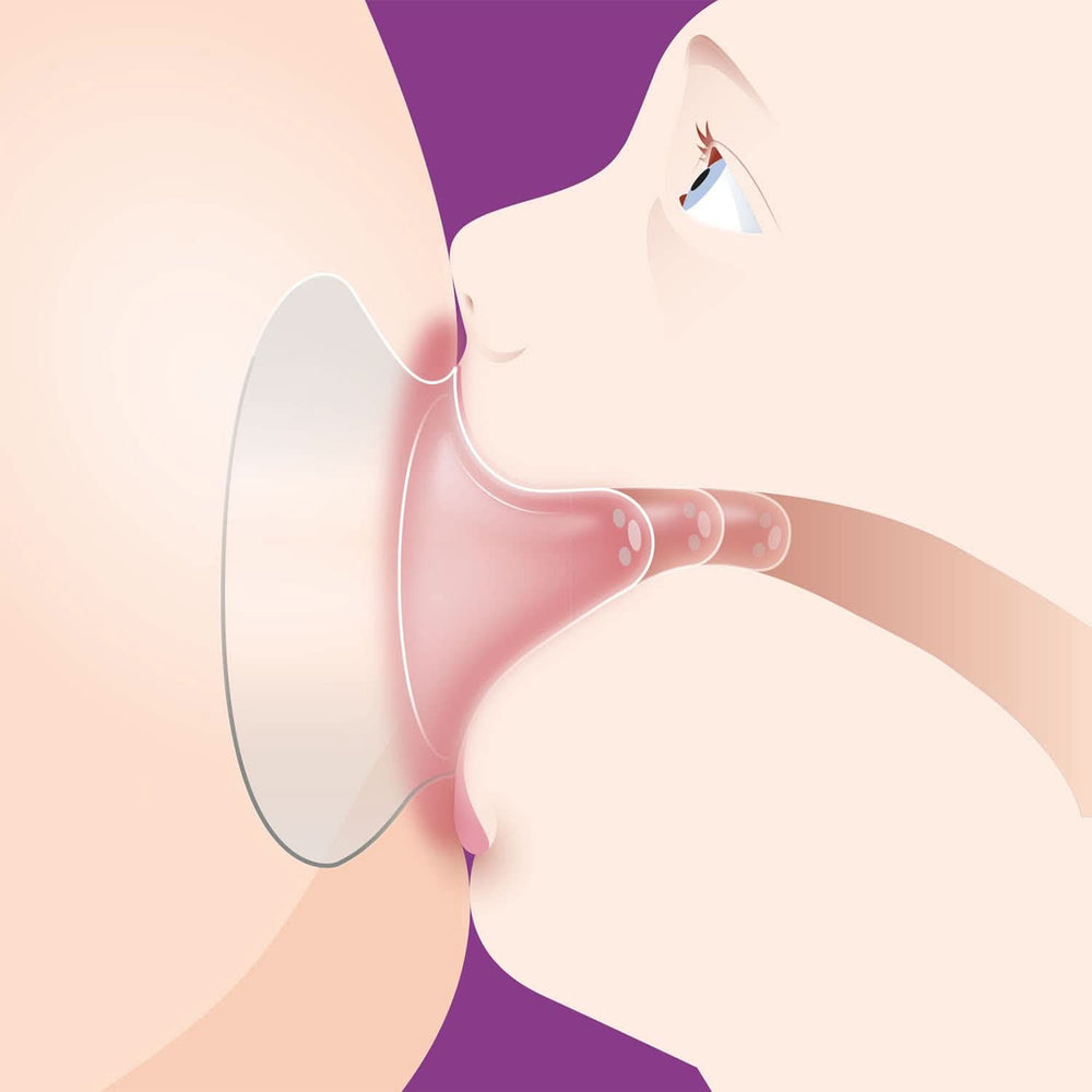 Philips Avent Paracapezzoli (modello SCF153/03) Accessori Alimentazione e Allattamento Bebe Naty Shop