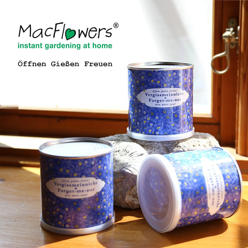 Non guardarmi in una fioriera | Kit di crescita come regalo speciale | Apri, innaffia, divertiti | Per arrivederci o come ringraziamento