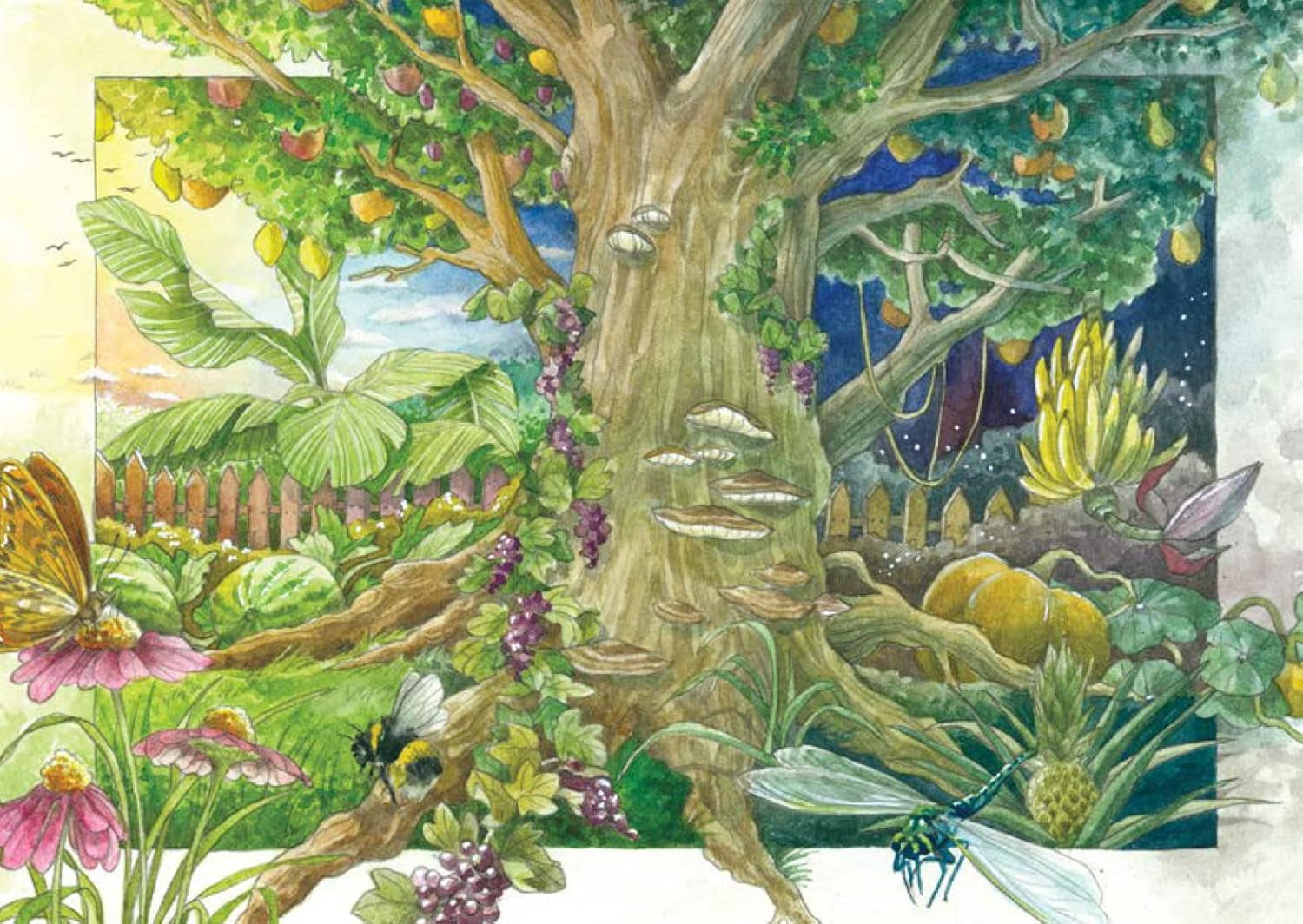Althergebrachte Kraft- Und Schutzpflanzen (Bio) - Samen-Geschenkset Mit 4 Sehr Alten, Traditionellen, Magischen Kräutersorten