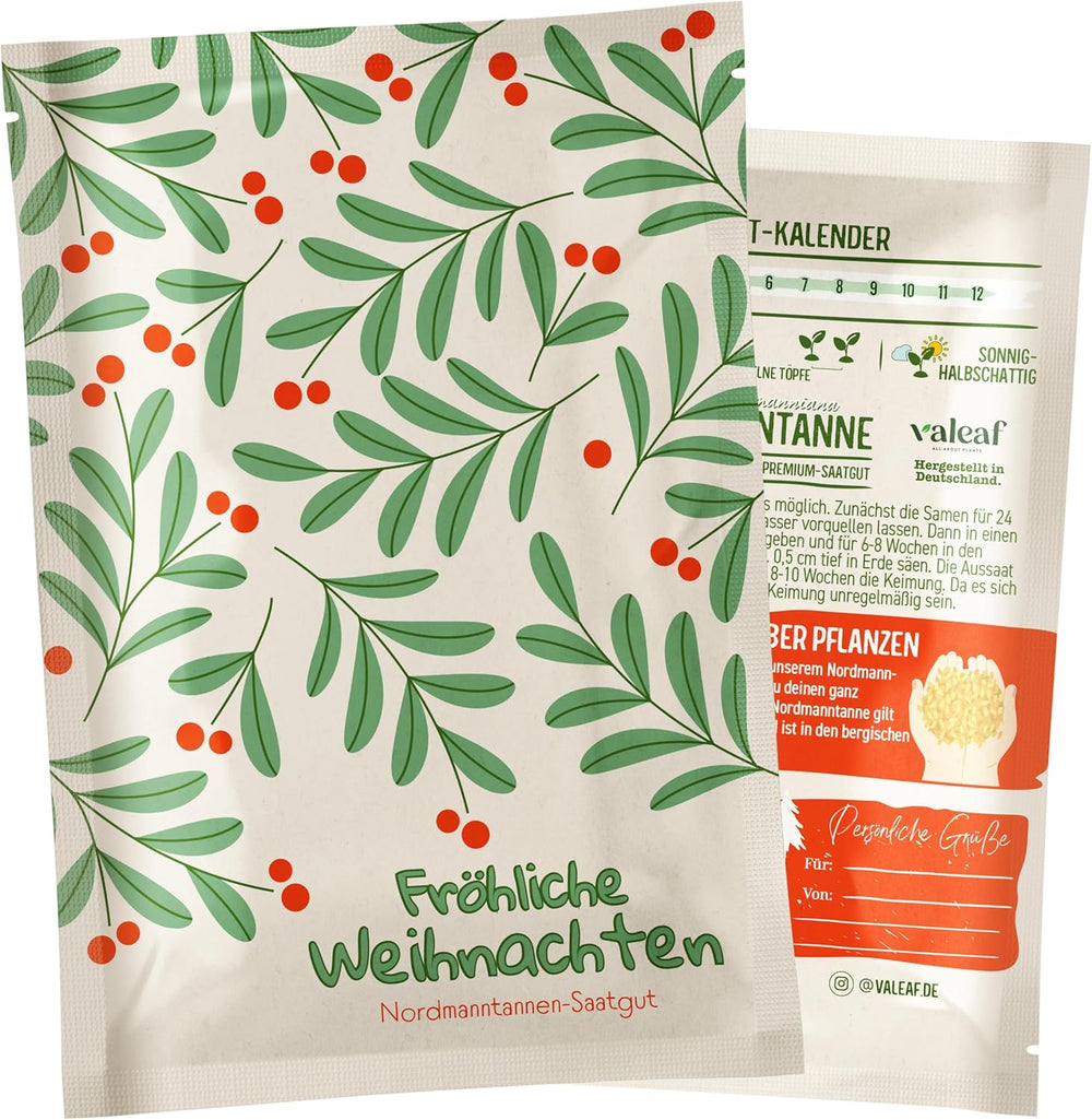 Albero di Natale 2030 - Semi di albero di Natale Nordmann per piantare un albero di Natale, ideale come regalo di Natale segreto di Babbo Natale