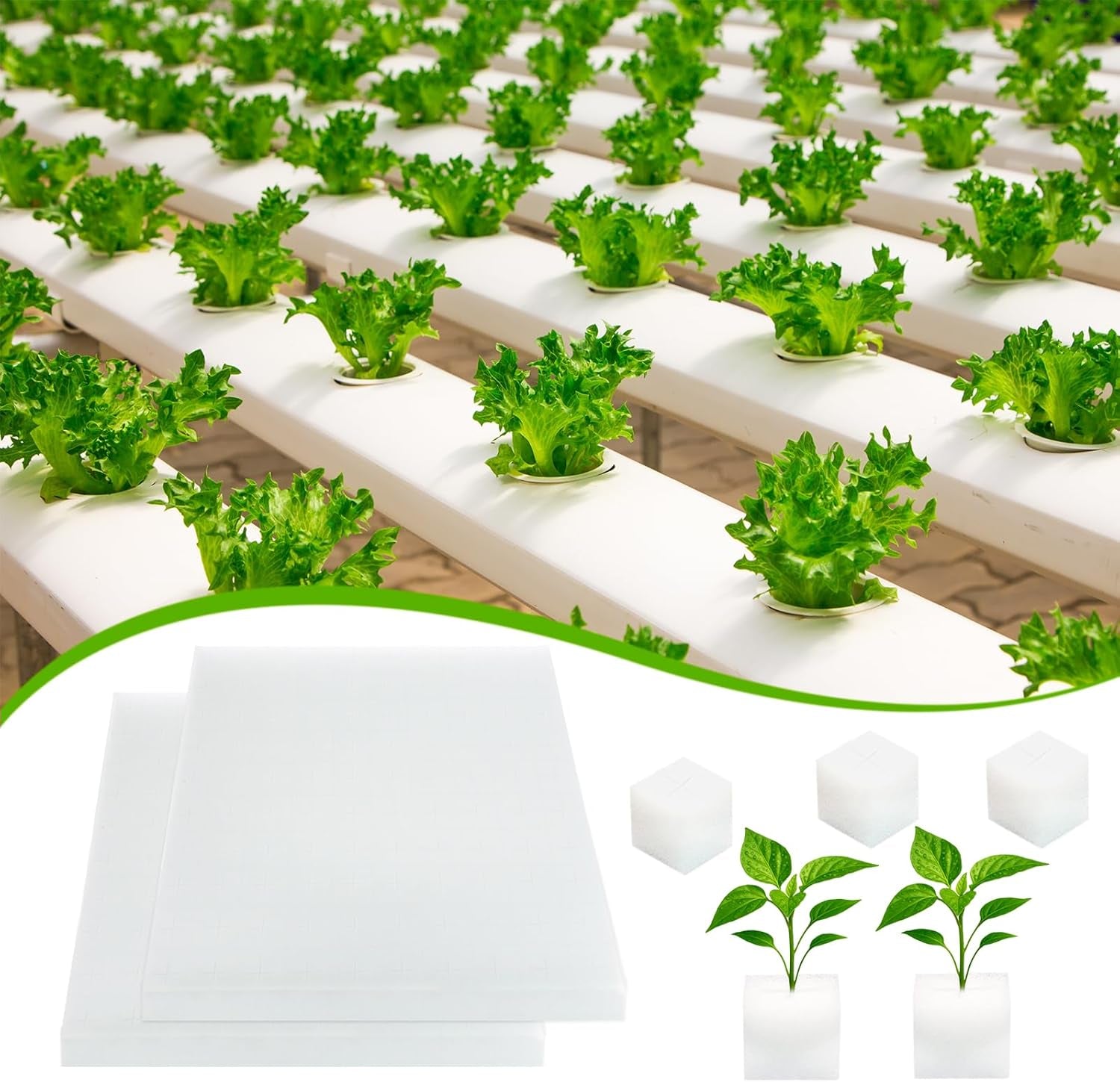 Lana di roccia, lana di roccia per propagazione, 2 pezzi, spugna idroponica, 200 pezzi dopo il taglio - Alternativa per serra, germinazione di semi e verdure domestiche