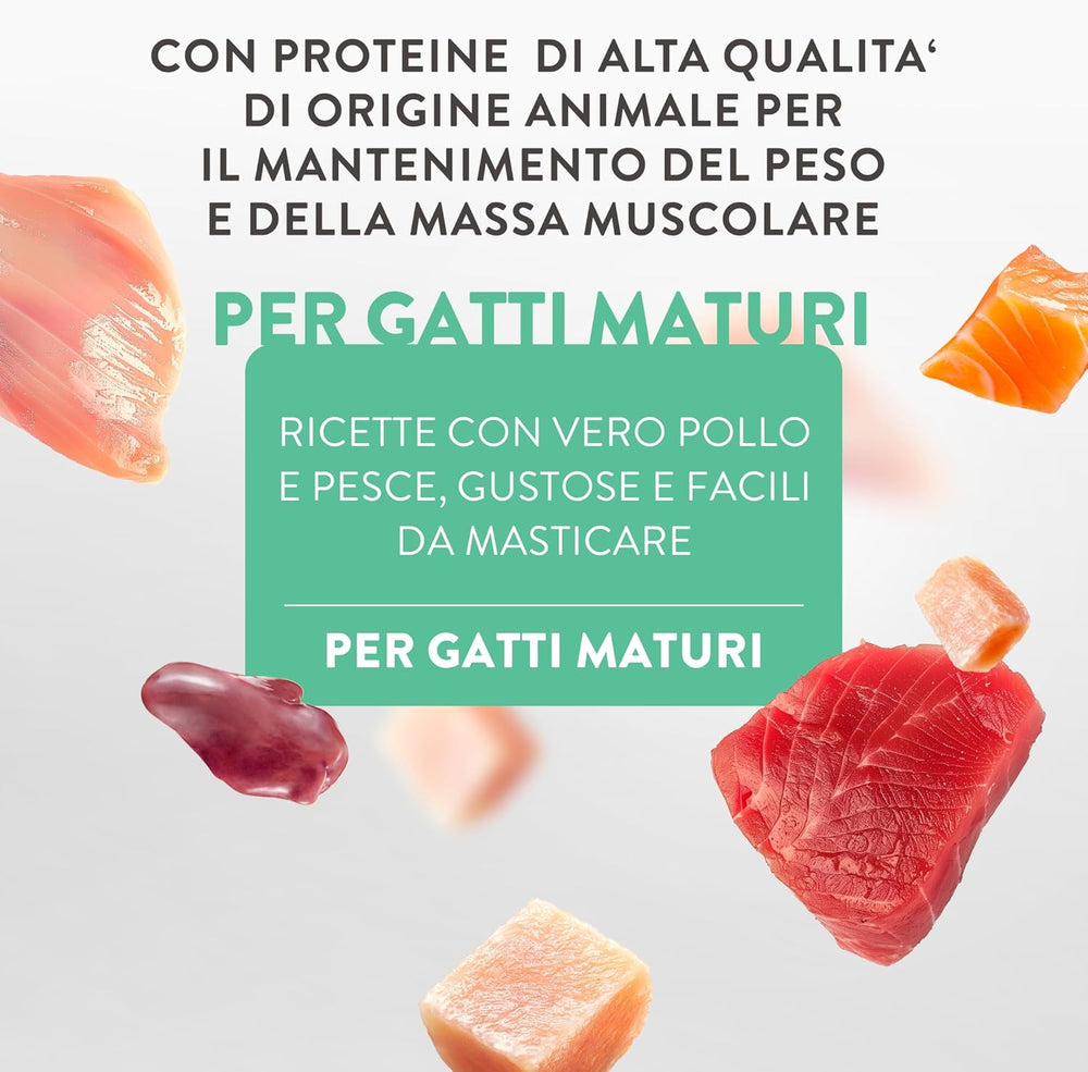 Silver, Pui cu Mousse de Rață și Fileuri, Hrană Umedă Completă pentru Pisici Senior, Fără Cereale, Suport Imunitar, Sursă de Umiditate, 12 x 70g