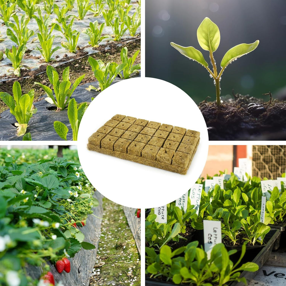 28 cubi di lana di roccia, set di lana di roccia, tappetino per coltivazione in lana di roccia, tappetino per coltivazione idroponica fuori suolo, cubo di lana di roccia, cubi di lana di roccia per talee, clonazione, propagazione 4*4*4 cm