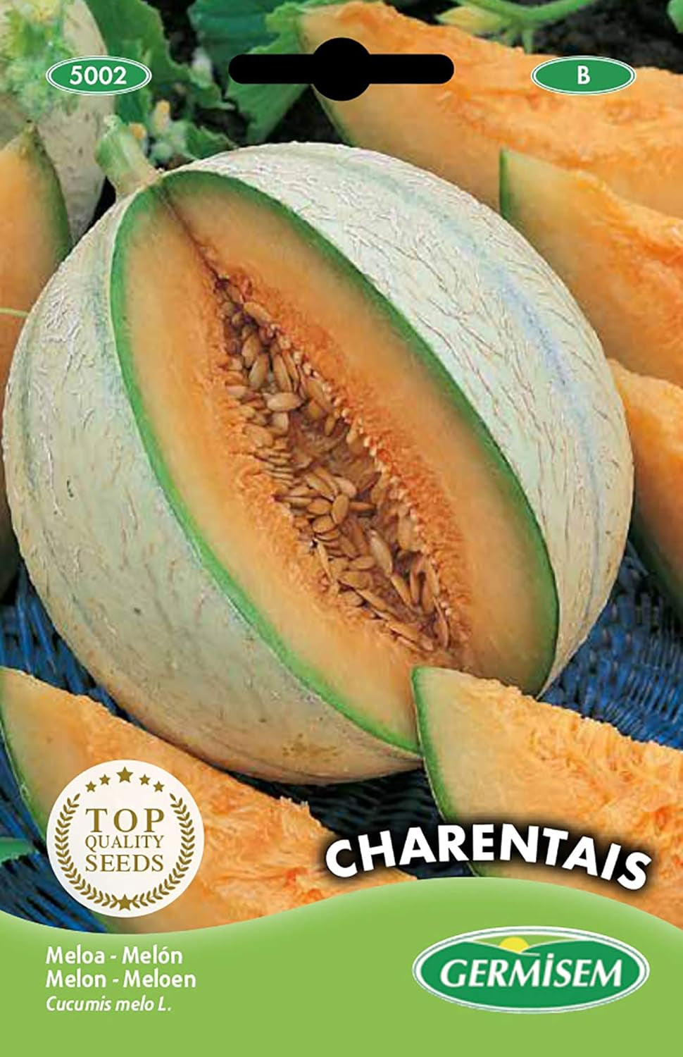 Melone GALIA F1