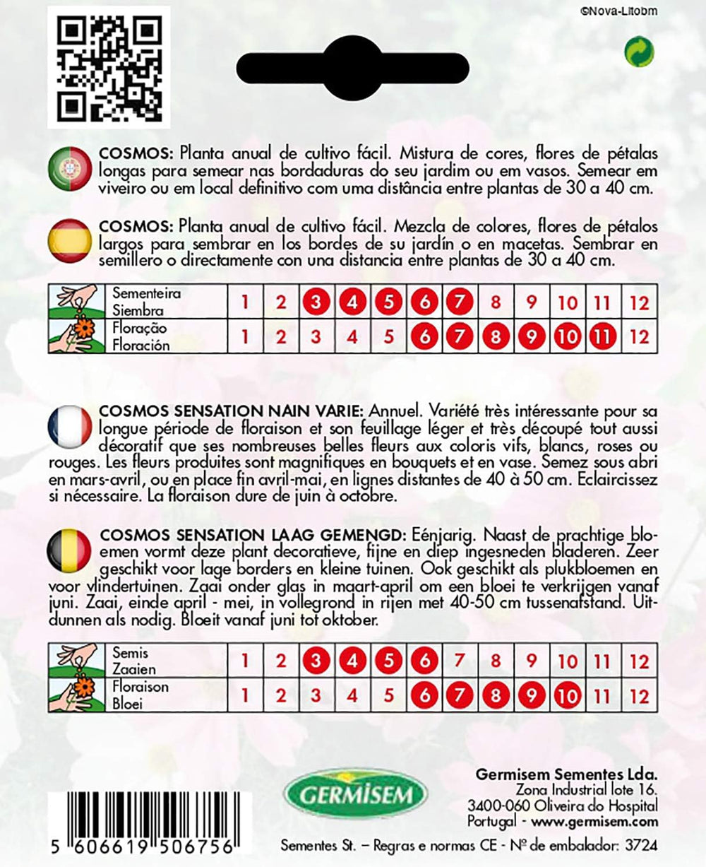 Cesto portagioielli, multicolore, EC1515