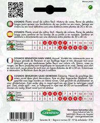 Cesto portagioielli, multicolore, EC1515