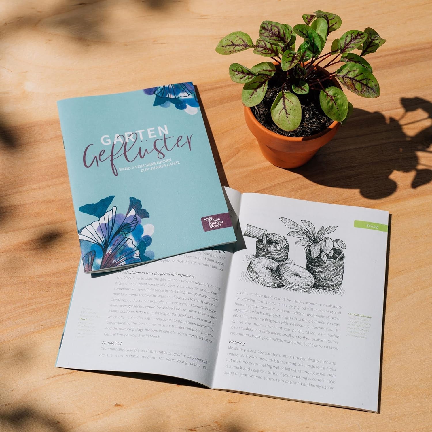 Exotische Schönheiten für Wintergarten & Terrasse - Samen-Geschenkset mit 5 frostempfindlichen Blühpflanzen aus aller Welt