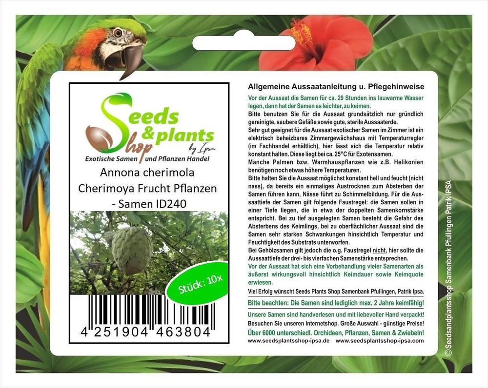 Stk - 10X Annona Cherimola Cherimoya Frucht Pflanzen - Samen ID240 -