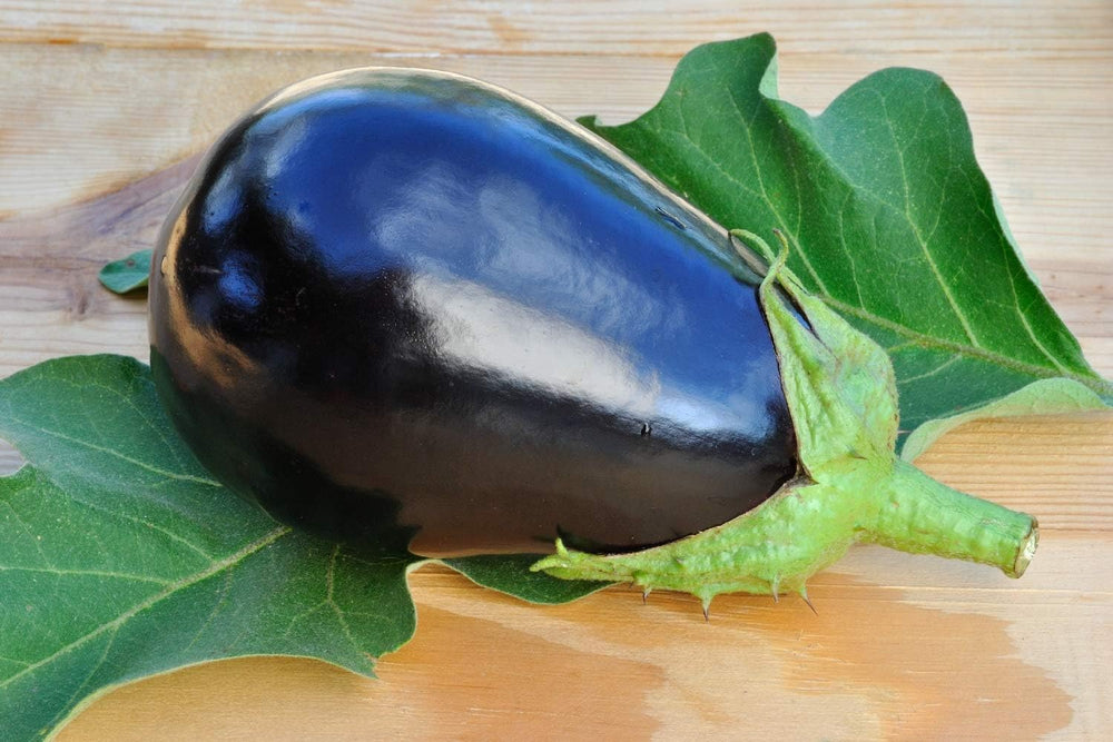 SAFLAX - Geschenk Set - BIO - Aubergine - Black Beauty - 25 Samen - Mit Geschenk- / Versandbox, Versandaufkleber, Geschenkkarte Und Anzuchtsubstrat - Solanum Melongena