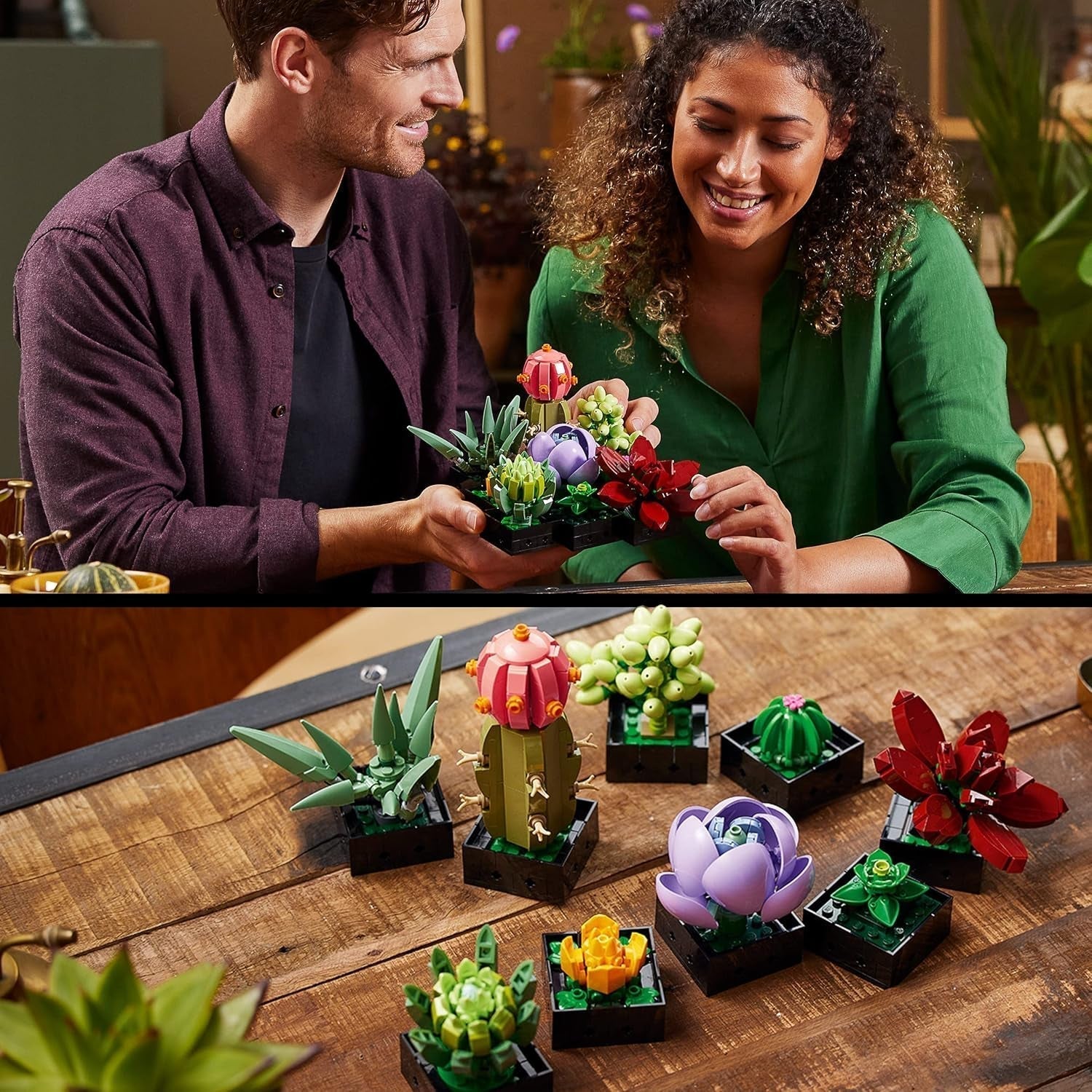 LEGO Botanicals Succulents - Set de construcție flori artificiale pentru adulți - Set de construcție buchet de flori - Hobby creativ și decorațiuni pentru casă - Idee de cadou pentru femei și bărbați - Colecție botanică (9 plante) 10309 Seturi de constructie Besuche den LEGO-Store