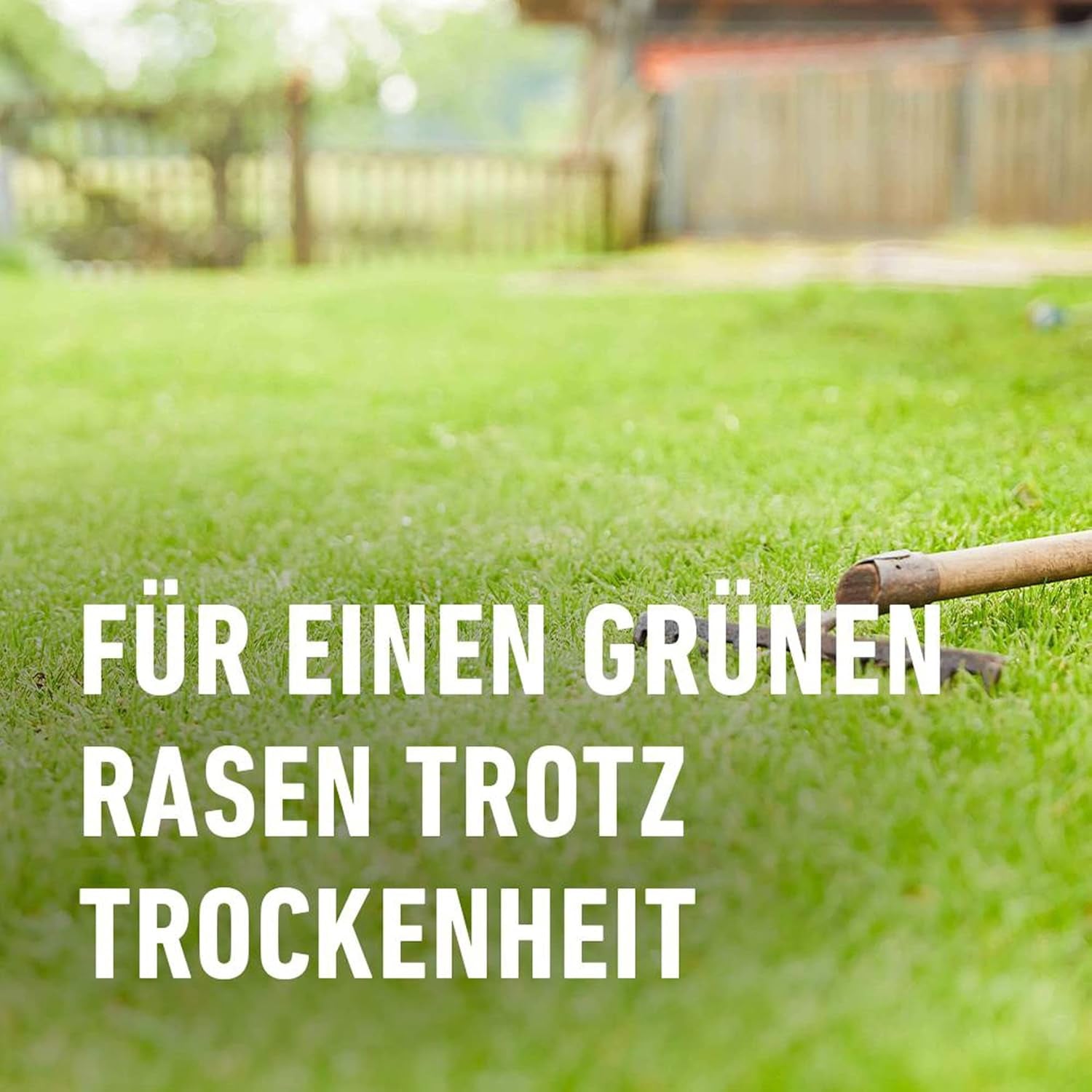 Compo SAAT® Trocken-Rasen 2Kg Für 80M²