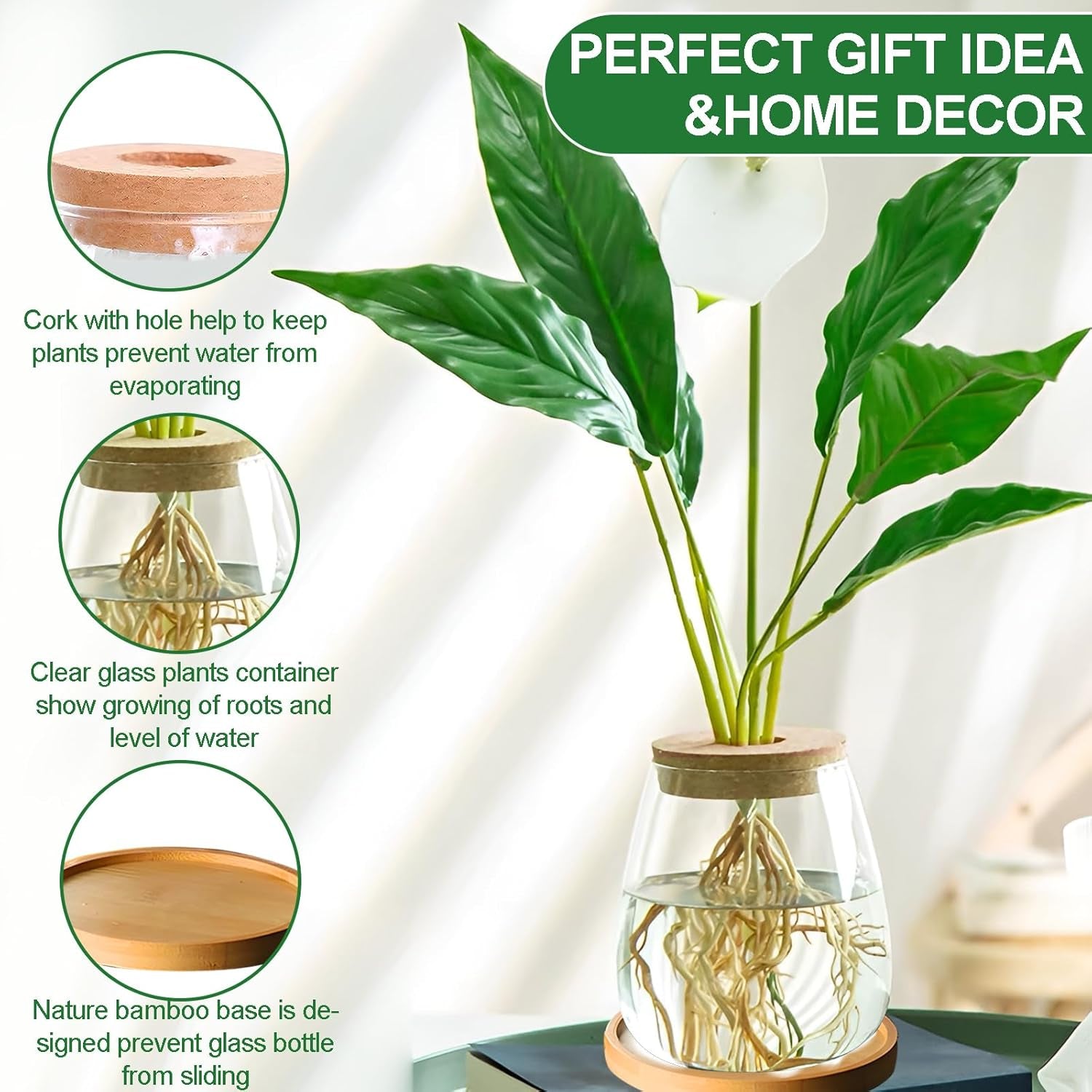 Stazione di coltivazione idroponica per piante 12x11 cm Vaso per semi di avocado Fioriera in vetro Vaso in vetro idroponico per piante acquatiche o fiori Decorazioni per la tavola da scrivania 2 pezzi