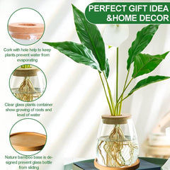 Stazione di coltivazione idroponica per piante 12x11 cm Vaso per semi di avocado Fioriera in vetro Vaso in vetro idroponico per piante acquatiche o fiori Decorazioni per la tavola da scrivania 2 pezzi