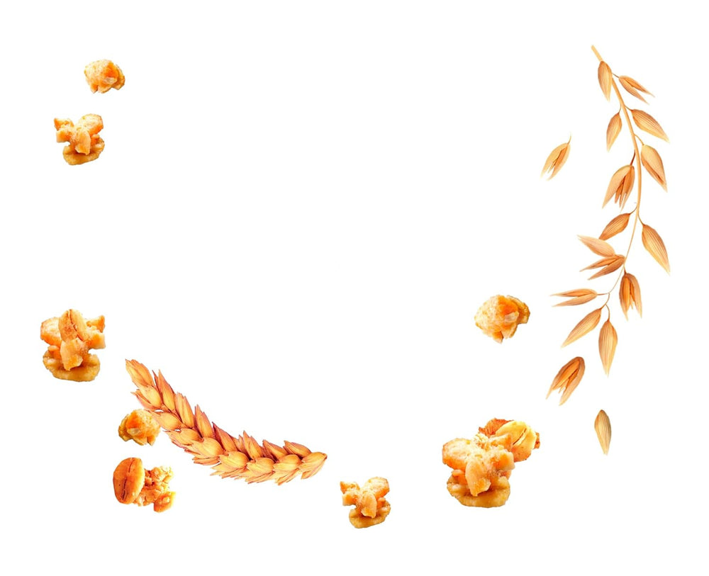 Dr. Oetker Vitalis Less Sweet Crunchy Pure: muesli croccante con il 30% di zucchero in meno, confezione da 5 (5 x 600 g)