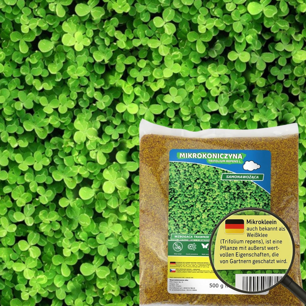 Flower Meadow - Mix di semi di fiori adatti alle api - Fiori di campo ed erbe per luoghi asciutti - Semi di fiori di campo - Mix di semi annuali e perenni