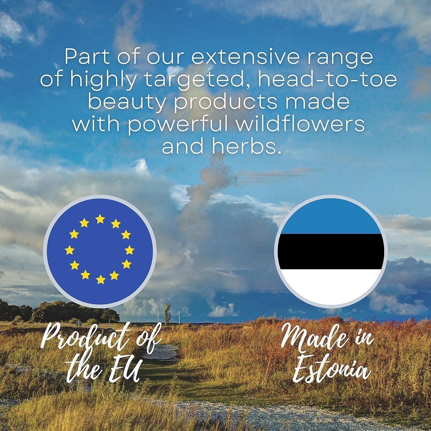 Natura Siberica Oblepikha Mască pentru păr grav deteriorat, 1 pachet (1 x 170 ml) Masca de par Naty Shop