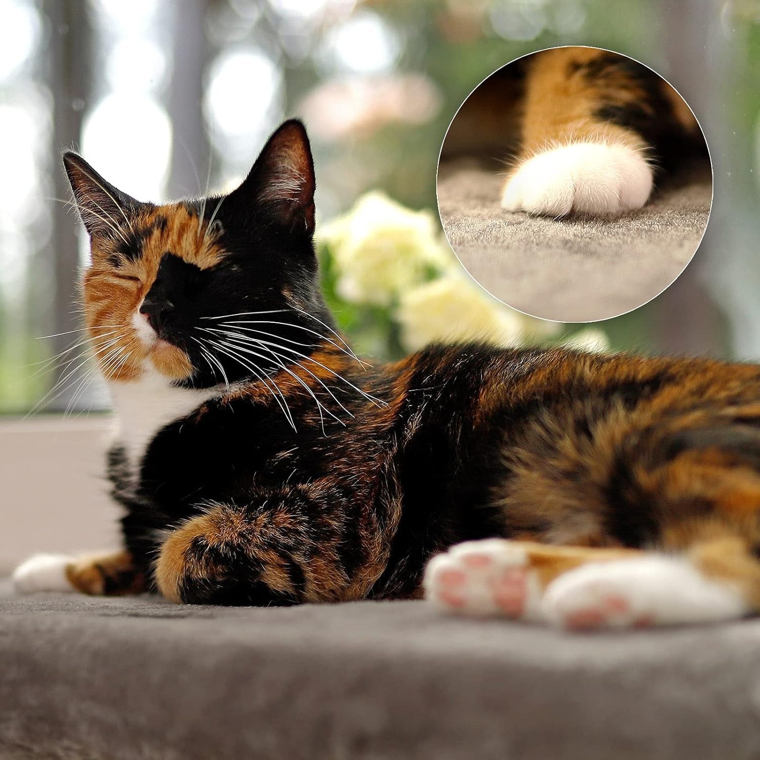 Pături și mobilier, Scaune ferestre, Animale de companie, Pisici, Paturi pentru pisici, Pisici - culcusuri, saltele