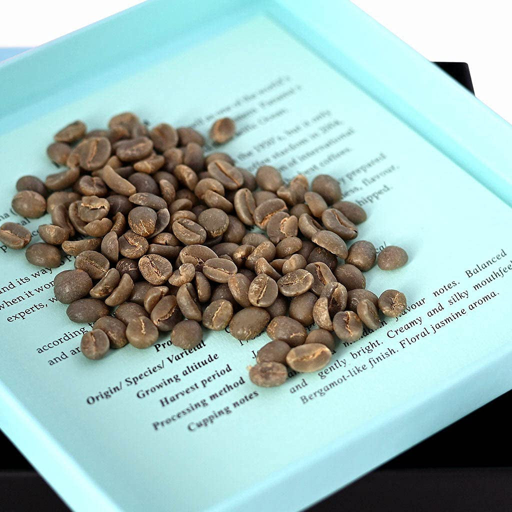 100% Entkoffeinierter aus Mexiko - Grüne Kaffeebohnen | Kaffee-Röststufe: nicht geröstet, Anzahl von Einheiten: 1 x 340g/12oz