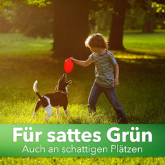 Hesa Schattenrasen RSM 7.4, 1Kg Für Ca 50 M², Premium Rasensamen, Zierrasen Für Schatten, Halbschatten Und Auch Vollsonne, Grassamen in Profiqualität