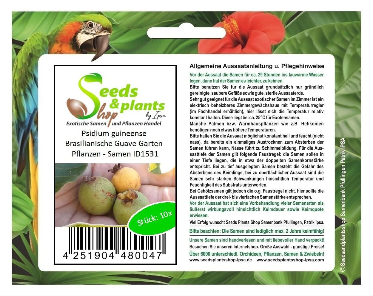 Stk - 10X Psidium Guineense Brasilianische Guave Garten Pflanzen - Samen ID1531 -