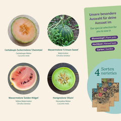 Magic Garden Seeds - Melonen Garten Saatgut-Box Mit 4 Sorten - Wassermelone, Honigmelone & Zuckermelone Für Hochbeet, Topf & Garten - Aromatisch & Süß