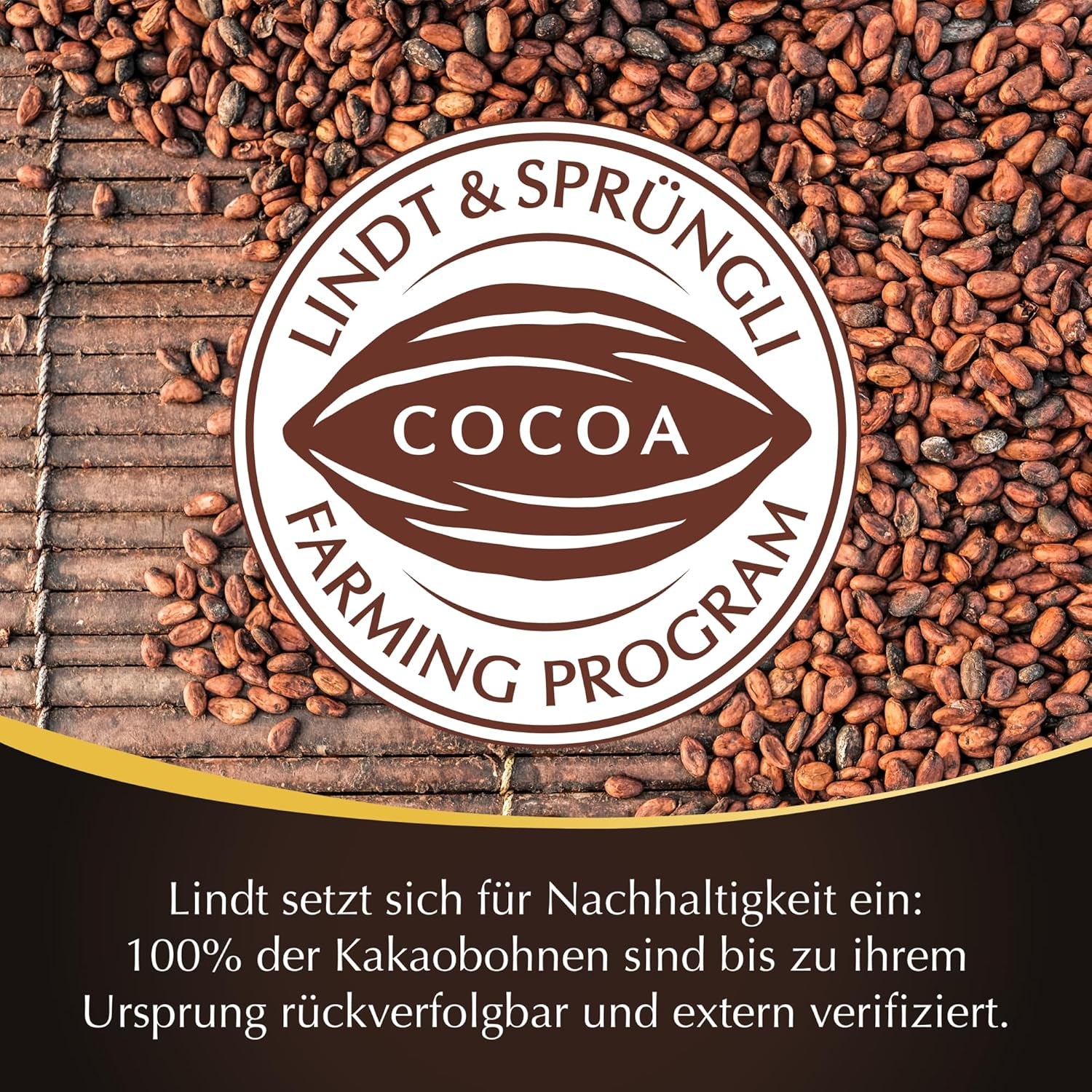 Cioccolata Lindt | Bastoncini LINDOR Cacao 60% | 100 g| 4 tavolette di cioccolato con cioccolato fondente 60% cacao e ripieno scioglievole in bocca | Barretta di cioccolato