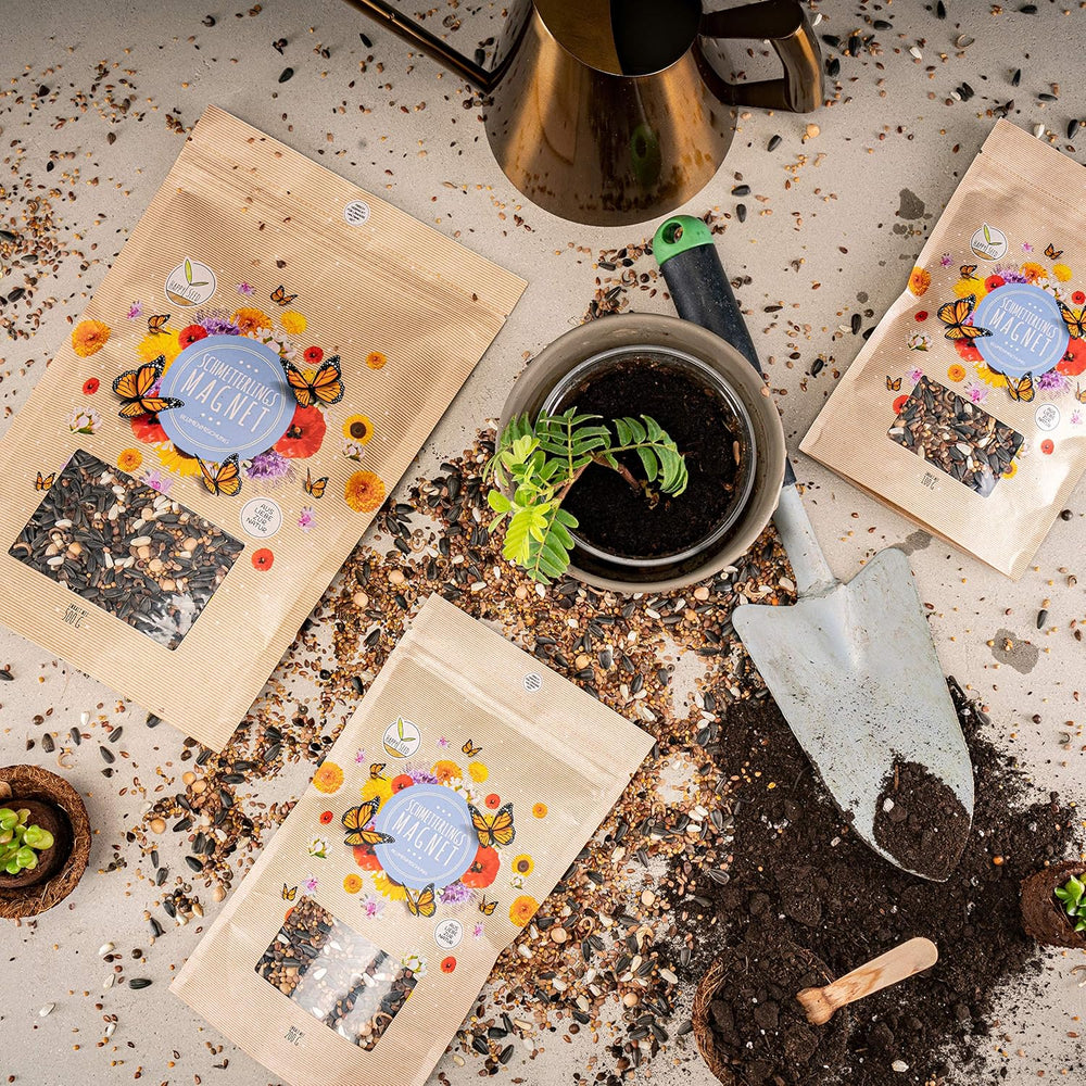 100 g di semi di farfalla per un prato fiorito colorato - Mix di semi di fiori selvatici colorati e ricchi di nettare per farfalle