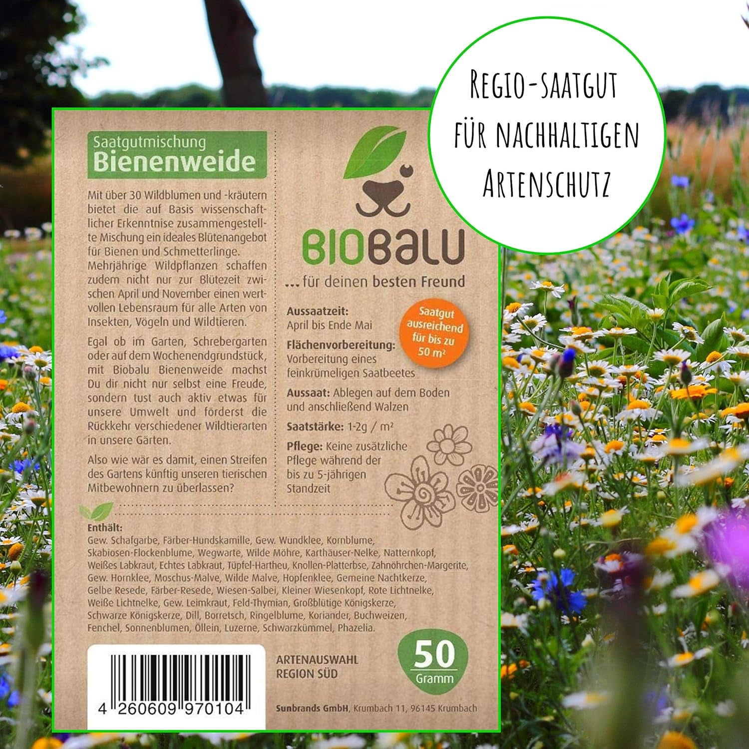 Semi di api - fiori di campo, perenni e resistenti all'inverno, semi - oltre 40 fiori autoctoni ed erbe selvatiche, selezione speciale di specie per la Germania meridionale, 50 g