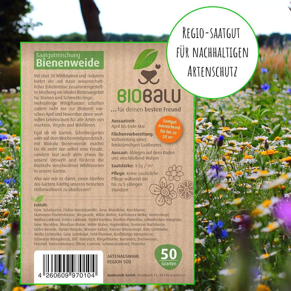 Semi di api - fiori di campo, perenni e resistenti all'inverno, semi - oltre 40 fiori autoctoni ed erbe selvatiche, selezione speciale di specie per la Germania meridionale, 50 g