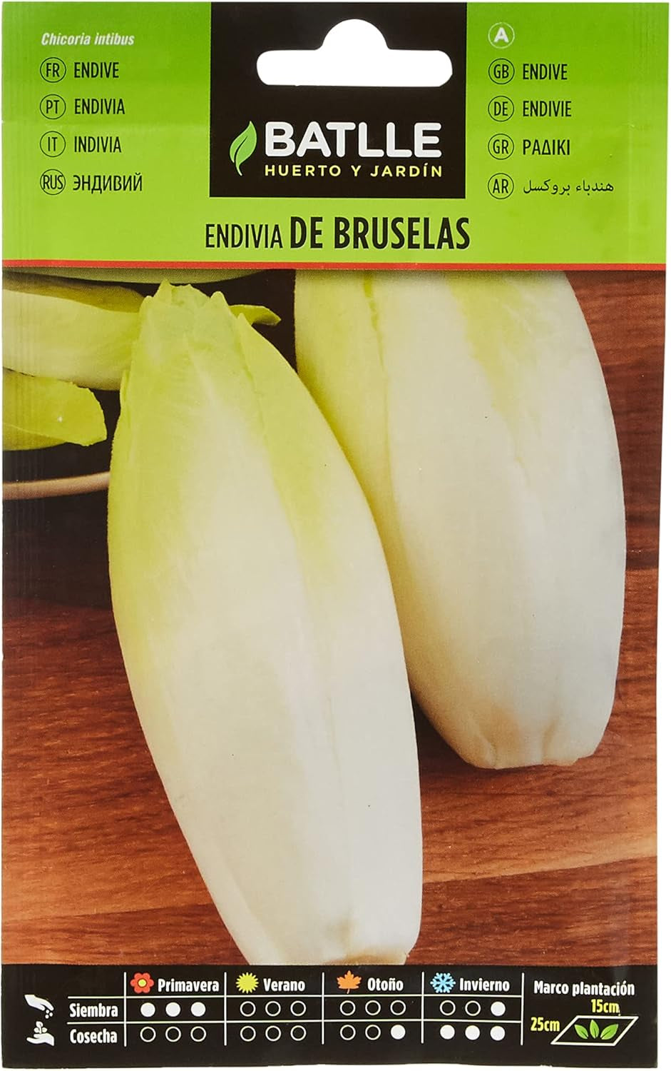 Batlle Gemüsesamen - Chicoree Sorte Brüssel (Samen)