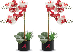 Alabama Orchidee Pflanze 2Er Set - University of Alabama Faux Orchidee Pflanze - Alabama Geschenke Für Männer, Alabama Geschenke Für Frauen - Alabama Geschenke, Crimson Tide Dekorationen - Bürozubehör