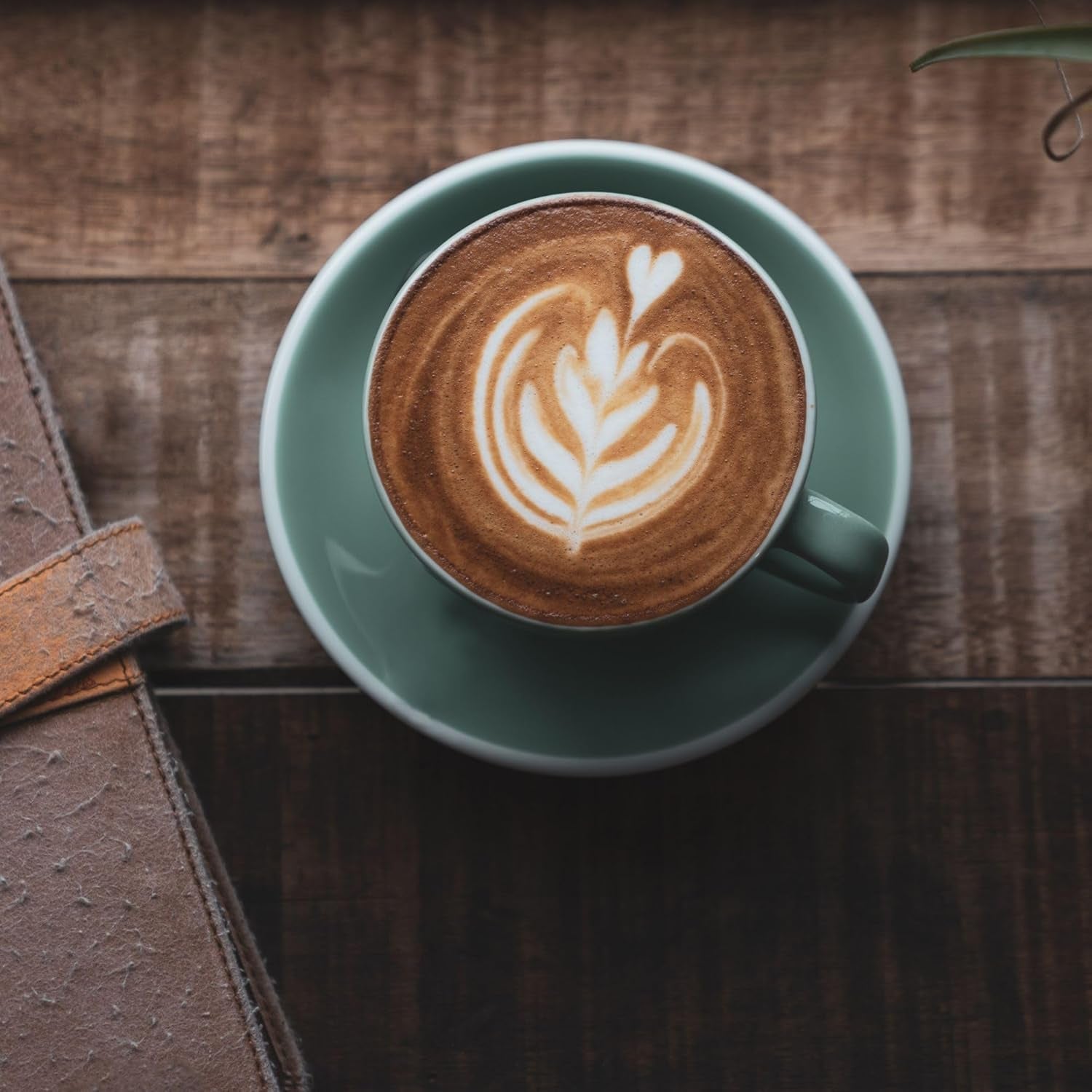 Seleccion Professional Natural - kaffeebohnen 1kg