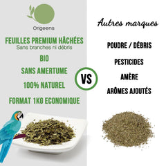 ORIGEENS BIO YERBA MATE TEA 200G - Originalul I Bio Yerba Mate neprăjită, frunze, fără tulpini, praf și firimituri I Băutură energizantă și detoxifiantă